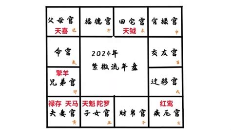 2024 八字 運勢|震豐八字：紫微斗數2024流年命盤詳解